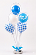 The "Little Explorer" Baby Boys welcome